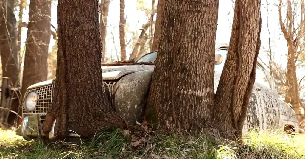 abandoned classic car Saab 96