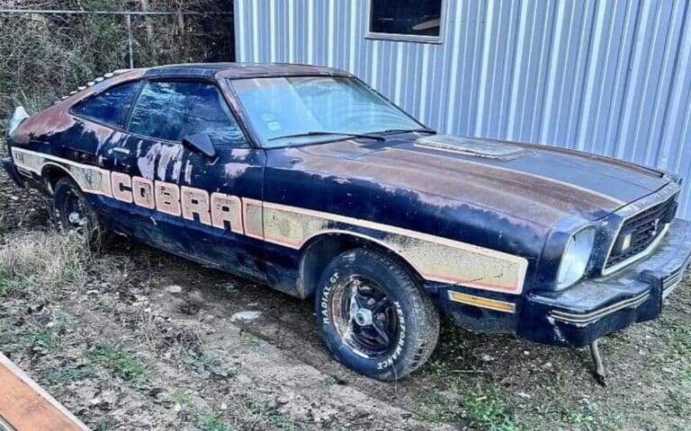 A one-of-one 1978 Ford Mustang Cobra II was somehow left parked for decades and now needs help