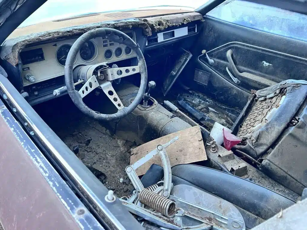 A one-of-one 1978 Ford Mustang Cobra II was somehow left parked for decades and now needs help