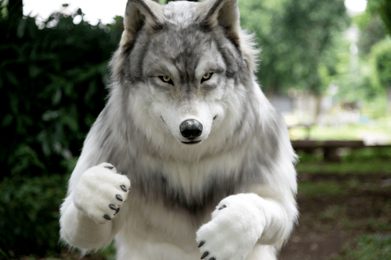 Man transforms into wolf 