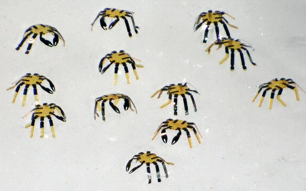 US university develops world's smallest remote controlled robot so miniscule you wouldn't see it