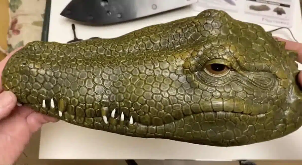 Crocodile head