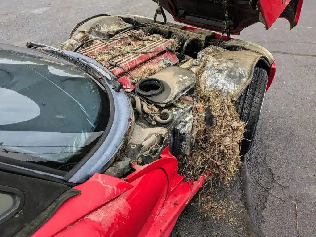 Dodge Viper atop dealership sign for 28 years held surprise