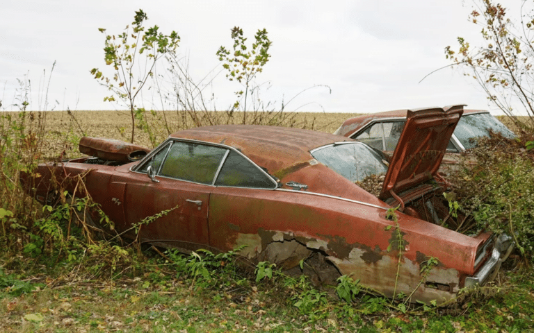 Rare 1970 Dodge Charger R/T found in a field but is it worth saving?