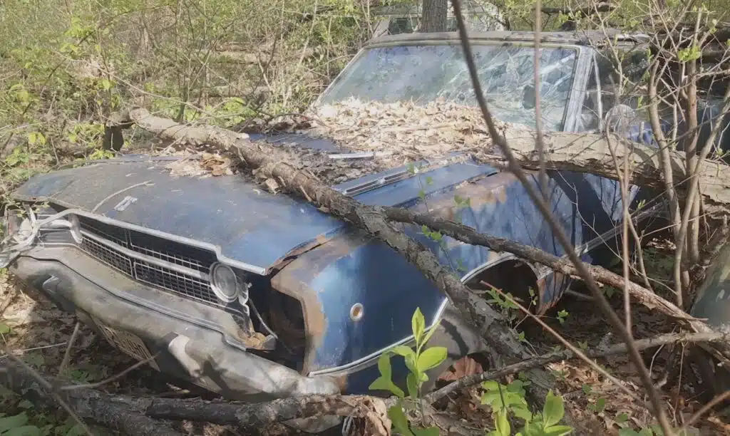 Couple buy rare 1968 Dodge Dart GTS, sell it, then rediscover it in the woods 40 years on