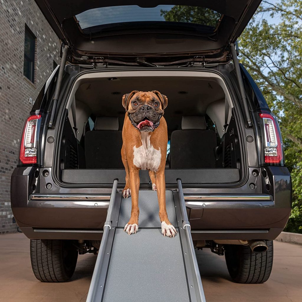 Dog with car access ramp