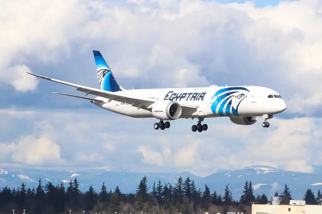 A baby has inadvertently discovered a neat travel hack after she was born mid-flight on an EgyptAir plane and was given a free lifetime travel ticket