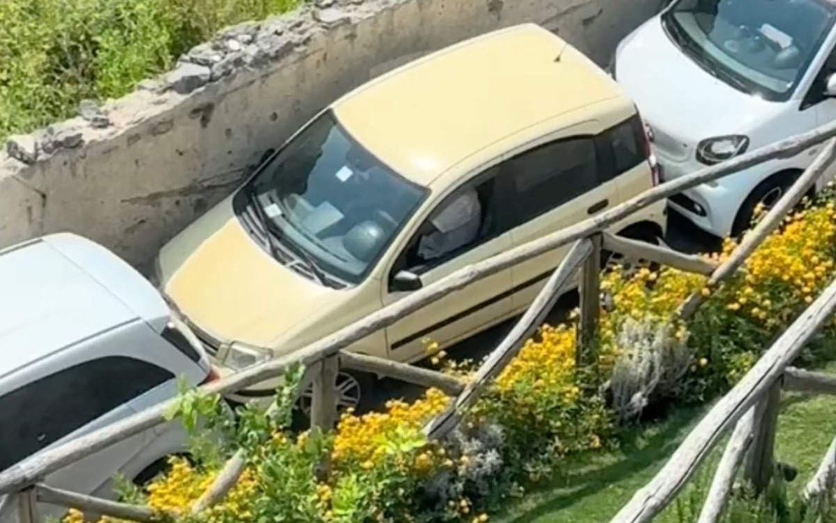Driver manages to squeeze car out from the tightest parking spot possible in expert feat