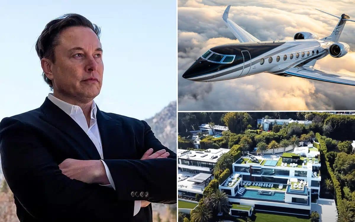 Elon Musk billionaire purchases