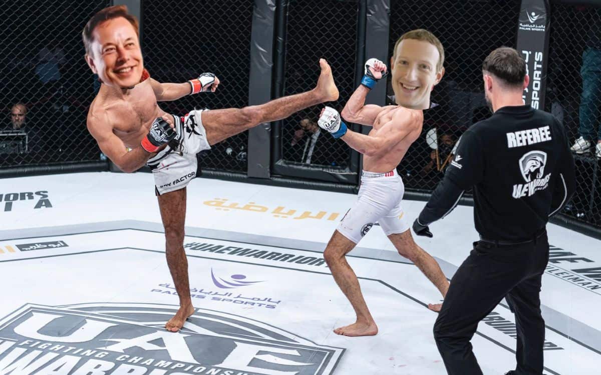 Mark Zuckerberg and Elon Musk cage fight