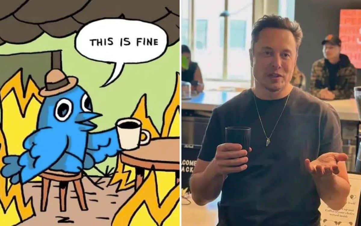 Elon Musk wants to charge everyone to use Twitter / X