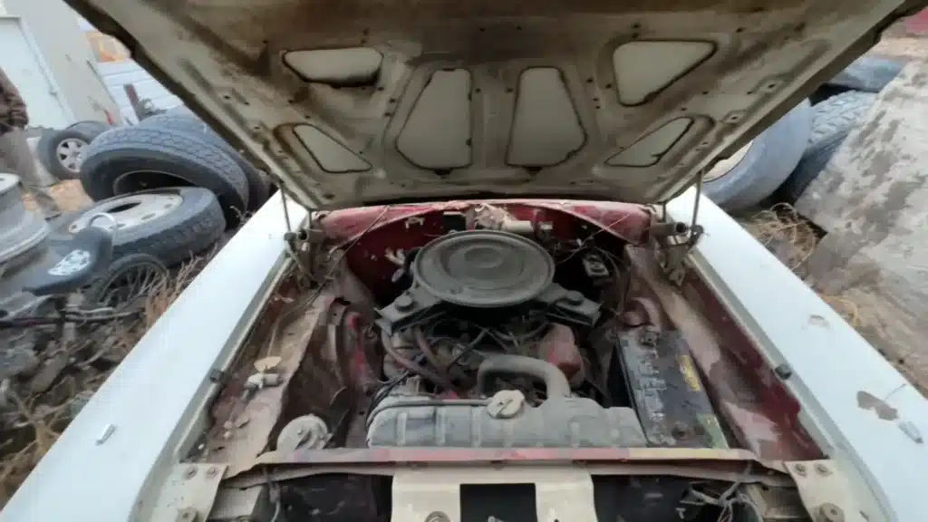 abandoned Dodge Super Bee found in Oregon after 40 years