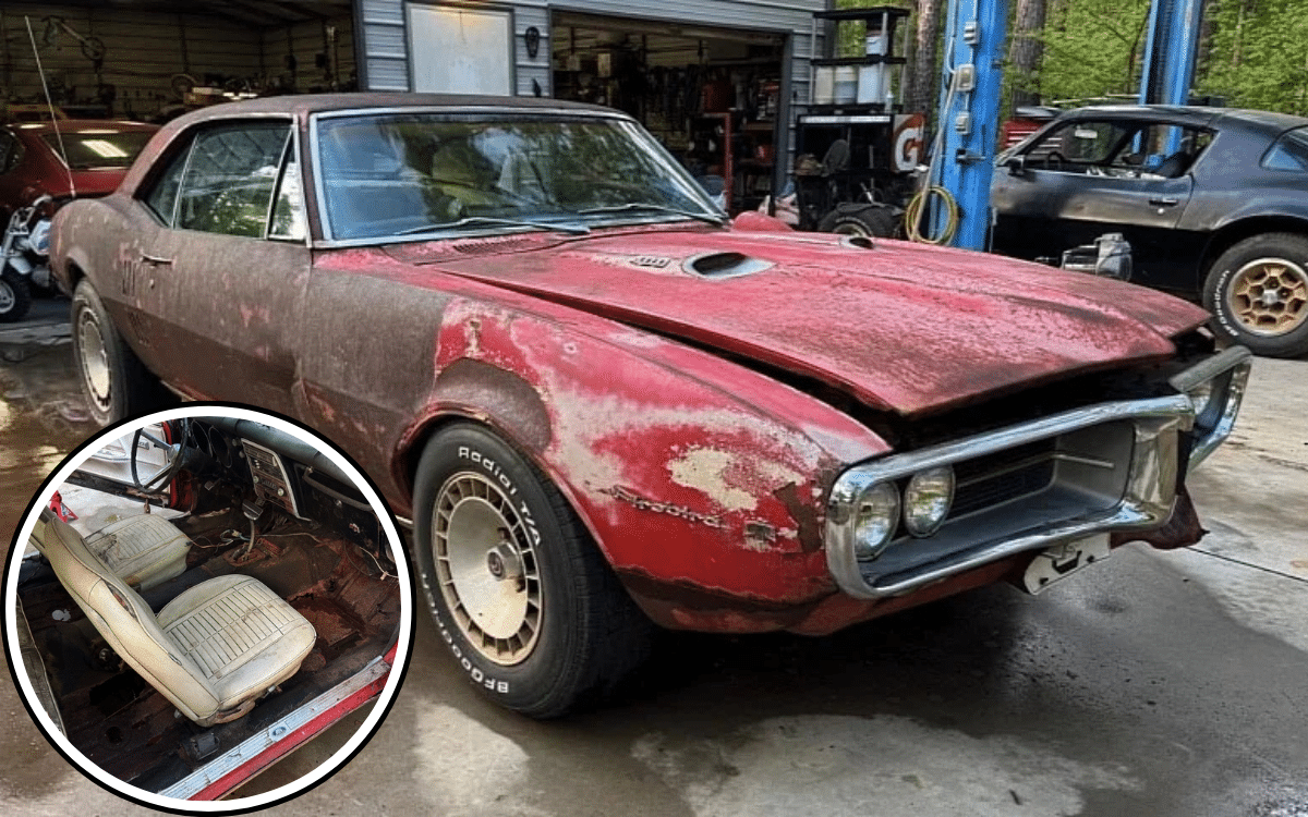 Owner bought Firebird in the ’70s then gave up on restoring it in no time, now parked in South Carolina