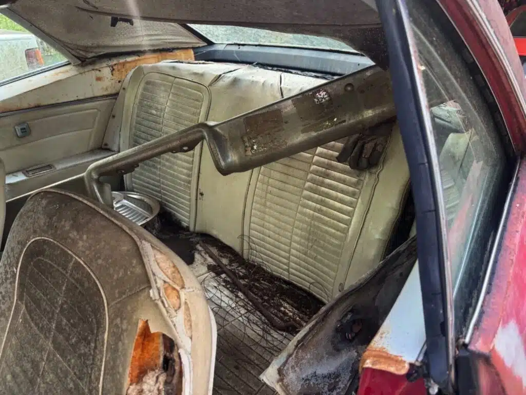 Owner bought Firebird in the '70s then gave up on restoring it in no time, now parked in South Carolina