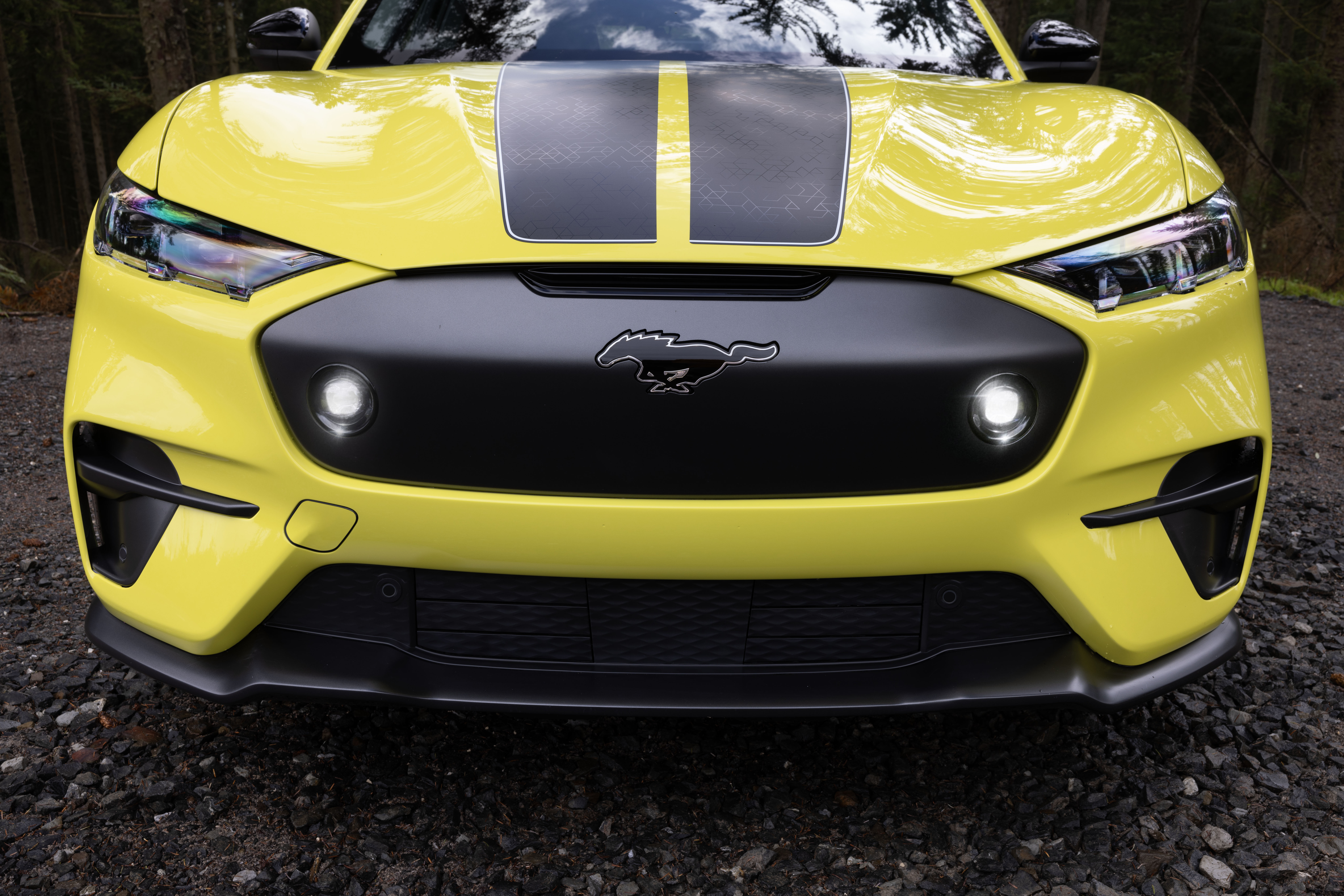Der neue Mustang Mach-E Rally ist bereit, das härteste Gelände zu