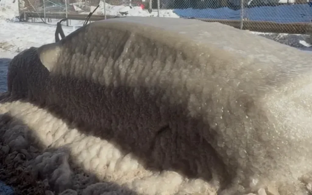 A Honda Civic that became an unlikely Philadelphia tourist attraction after being completely encased in ice, has been removed