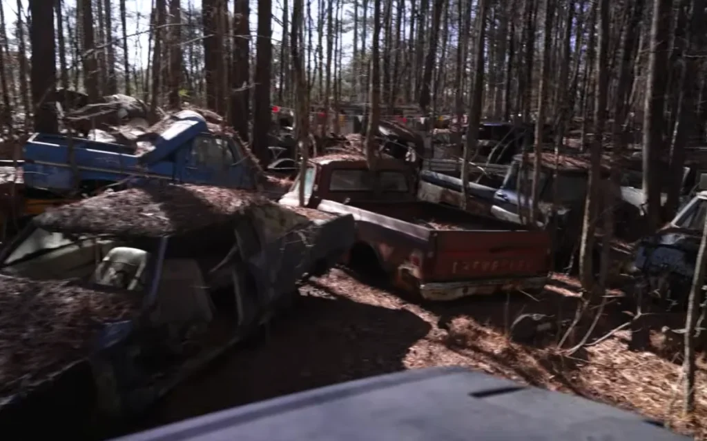 A Georgia forest filled with 4,400 classic cars is sparking debate as rare vehicles decay, raising questions about preservation, value, and automotive history