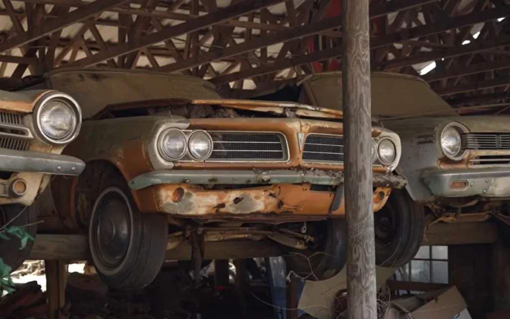 A Georgia forest filled with 4,400 classic cars is sparking debate as rare vehicles decay, raising questions about preservation, value, and automotive history