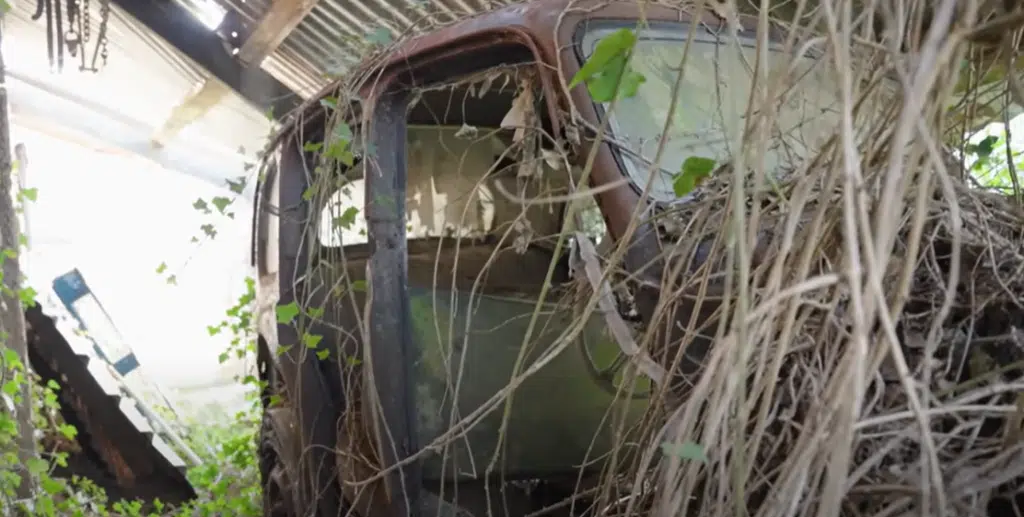 YouTuber filming muscle car reveal discovers huge surprise in neighbor’s hedge