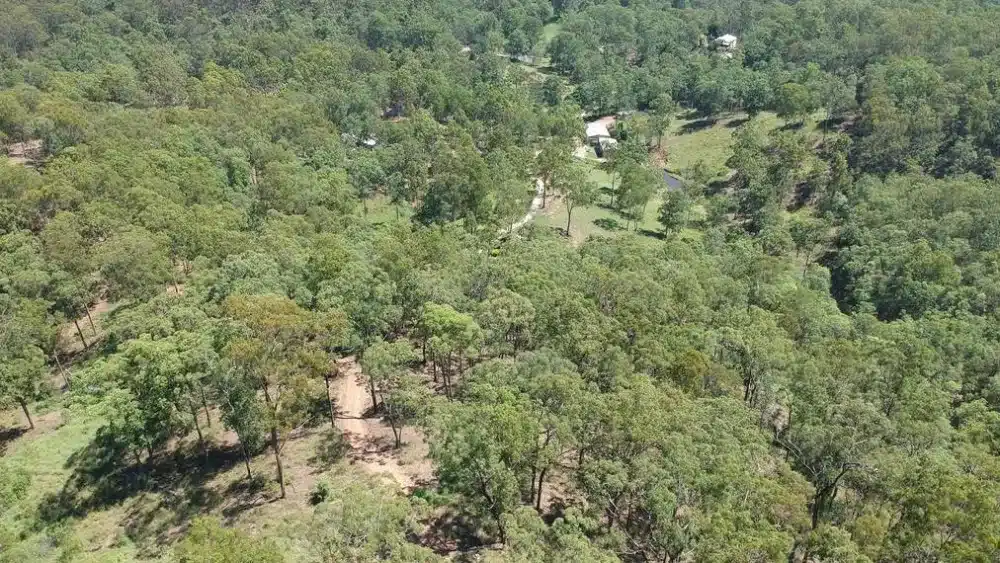 Homeowner discovers gold mine hidden in his backyard