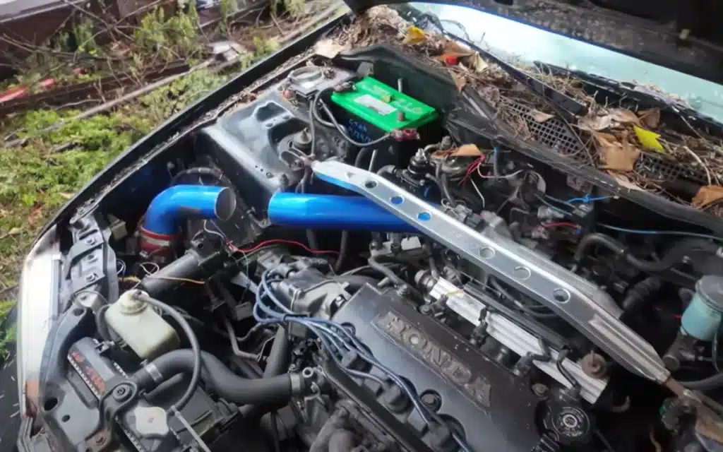 Canadian YouTuber buys a $500 abandoned turbo Honda Civic and brings it back to life with grit, DIY fixes, and a little Honda magic