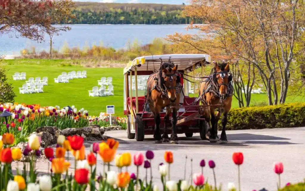 Mackinac Island banned cars and traded it for horse carriages after adopting a no-car policy in the 1800s