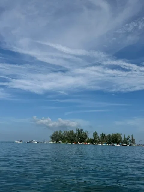 Four friends who bought deserted Florida island for $65,000 reveal why they turned down $10 million offers