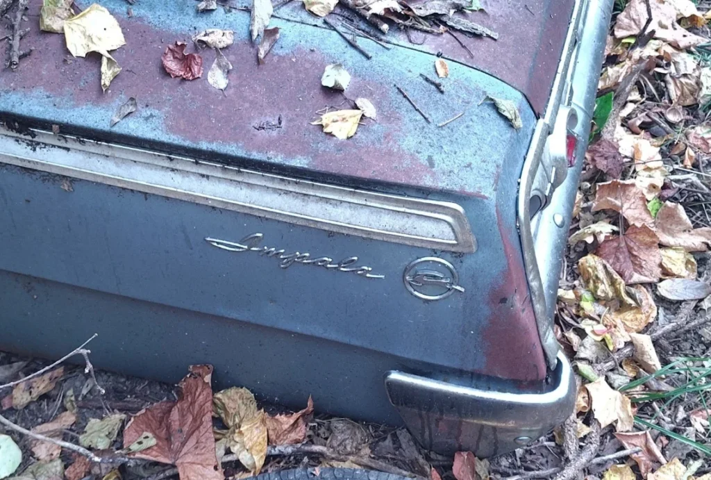 This barn find 1961 Chevrolet Impala is looking for a new home - and a major restoration - after being crushed by a tree