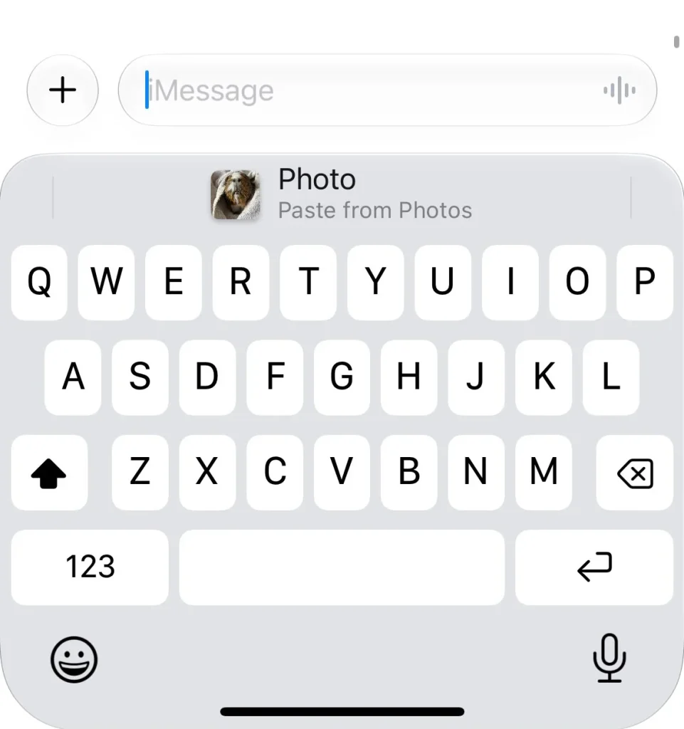 iOS 27 added a very low-key new feature to iPhones that you'll start using all the time when messaging without realizing