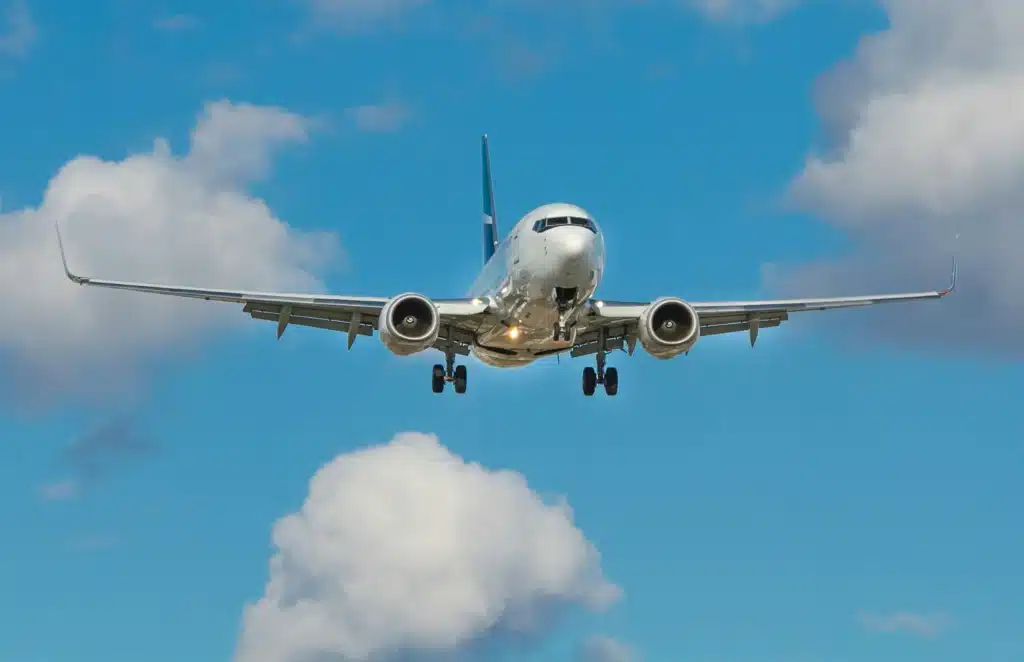 King Willem-Alexander of the Netherlands is a licensed pilot and flies himself on Boeing 737 planes to work trips