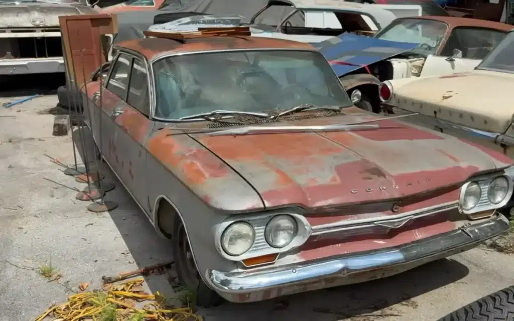 The owner of this sprawling hidden junkyard in Tennessee is selling off more than 30 classic cars, including muscle cars and some rare gems