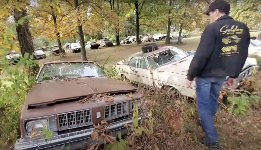 Kentucky junkyard has over 325 classic cars from 1930s to 1980s including rare models