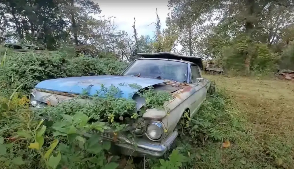 Kentucky junkyard has over 325 classic cars from 1930s to 1980s including rare models