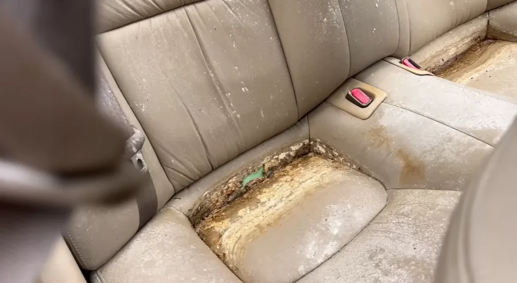 A Canadian YouTuber buys a stolen, abandoned Lexus SC400 with a 1UZ-FE V8 engine for $1,000 - it starts perfectly, then begins shifting gears by itself
