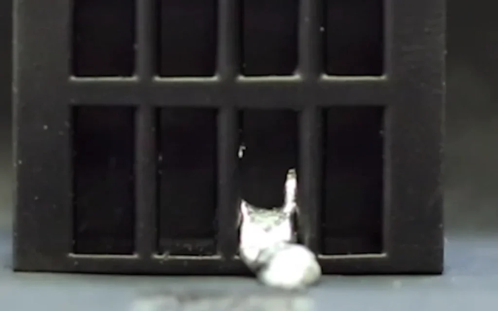 Scientists created a small robot that is able to liquify itself to escape from a cell and the whole thing has serious Terminator 2 vibes