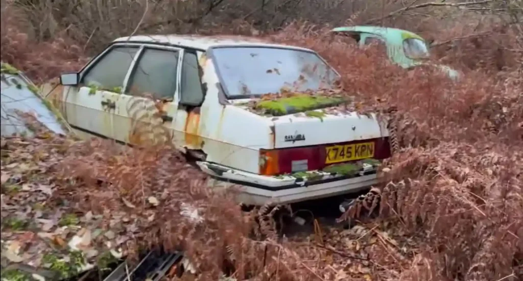 abandoned car graveyard uk forest