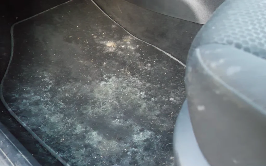 Flipping cars doesn’t get much wilder than turning a moldy, broken-down 2016 Seat Ibiza FR into a four-figure payday in just a few days.