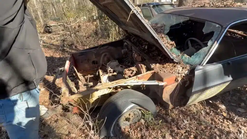 Huge Mopar fan hid 400 cars in Louisiana Bayou and a tree ended up growing through 1971 Charger Super Bee