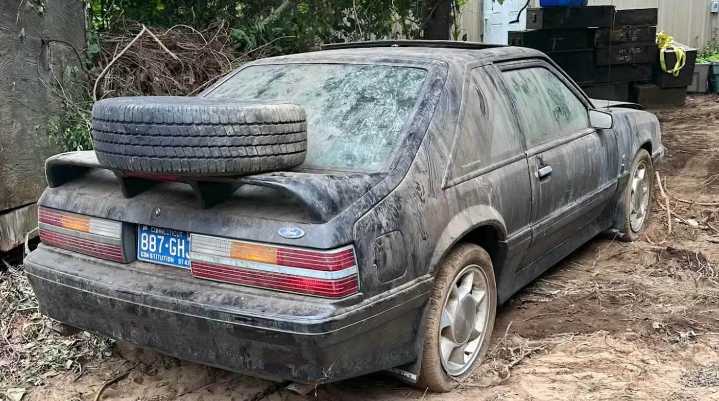 1993 Mustang Cobra was left in a shipping container for almost three decades before the owner took action