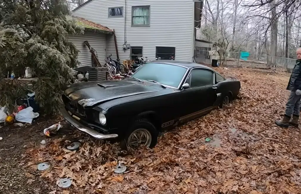 Guys hatch creative plan to dig out 1966 Shelby Mustang sunk in backyard