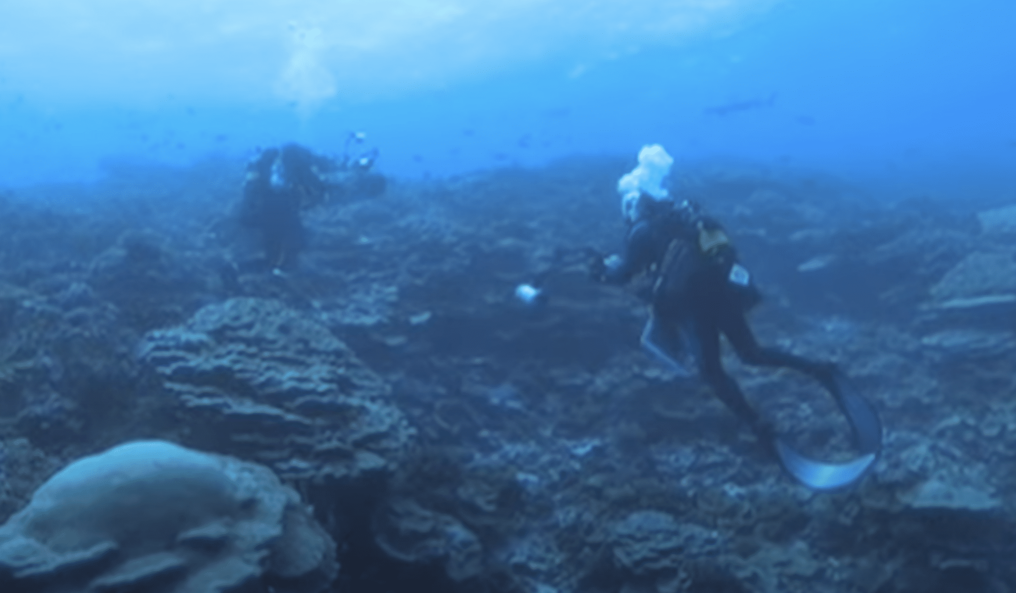 Diver shares truth about island blacked out on Google Maps