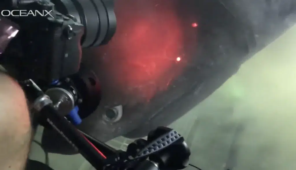 Incredible footage captures submarine encounter with ancient deep-sea monster predating most dinosaurs