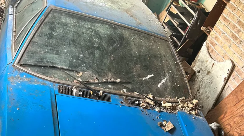 This one-owner Ford sportscar, a 1974 De Tomaso Pantera, has resurfaced after 40 years in storage, impressively still wearing its original parts