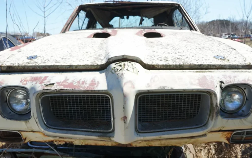 A car enthusiast visiting a Michigan junkyard unearthed some hidden gems, including a rare 1970 Pontiac GTO Judge