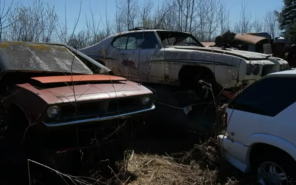 A car enthusiast visiting a Michigan junkyard unearthed some hidden gems, including a rare 1970 Pontiac GTO Judge