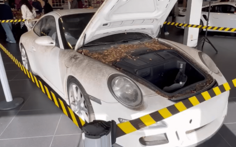 California dealership takes responsibility for reviving all-but-abandoned Porsche 911 GT3 covered in tree sap