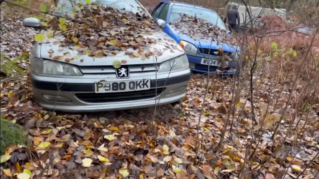 abandoned car graveyard uk forest