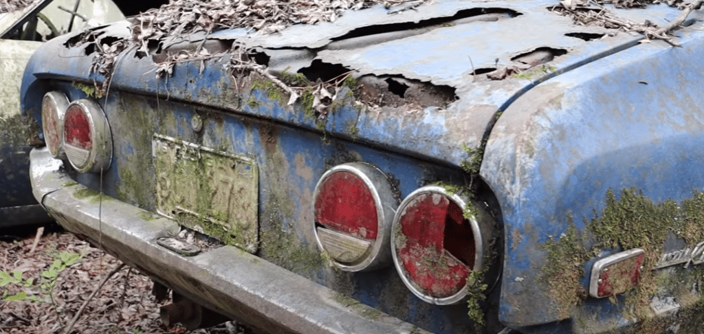 Man visits 'world's largest' Georgia junkyard with 5,000 cars, it's basically a city