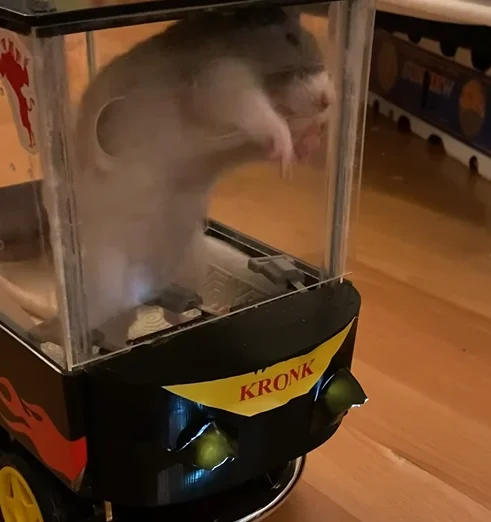 Canadian creators behind Emperors of Mischief teach rescue rats Phoebe and Spark to drive their 'Rat Rod' EV at the world's tiniest driving school