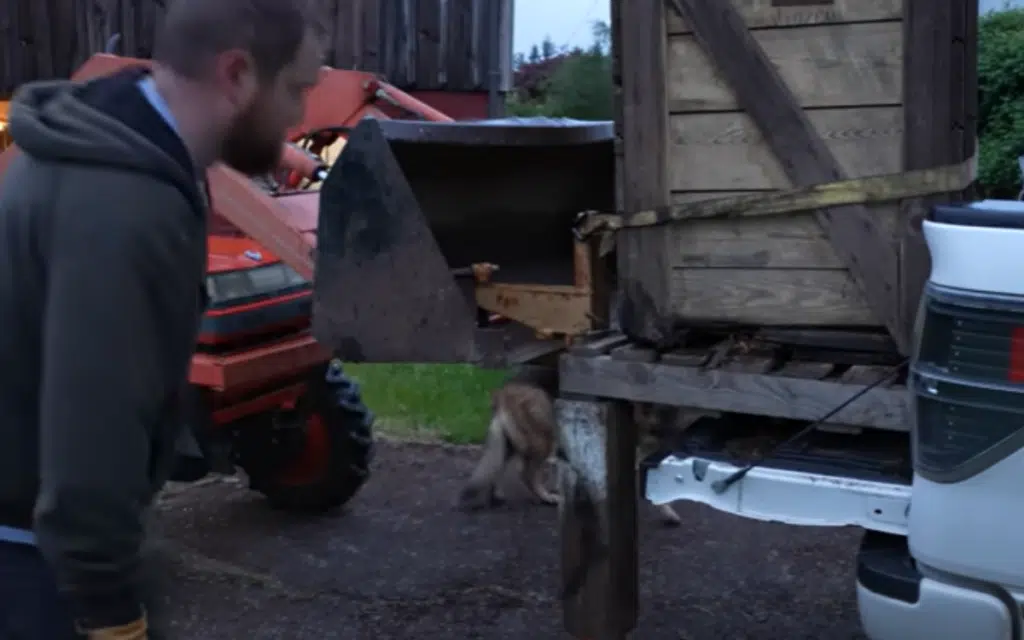 Canadian bought a 70-year-old unused Rolls-Royce crate engine with no idea what to expect